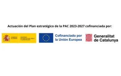 Proyecto SAN-PROT