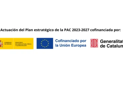 Proyecto SAN-PROT